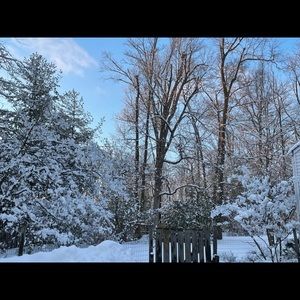 Meet your Posher, Jing